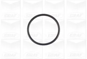 GRAF PA1154 Water Pump, engine cooling
