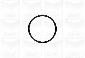 Water Pump, engine cooling PA879