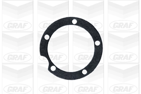 GRAF PA119 Water Pump, engine cooling