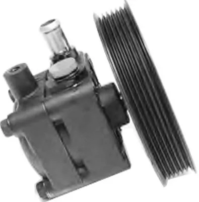 Hydraulic Pump, steering PI1321