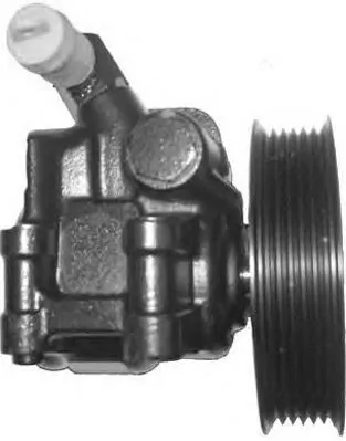 Hydraulic Pump, steering PI0202