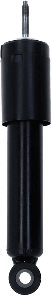 Shock Absorber 170 880