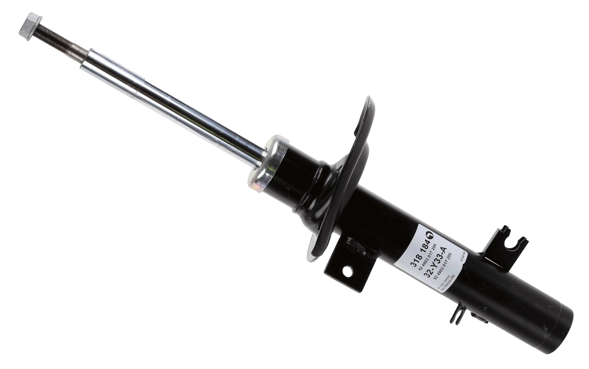 Shock Absorber 318 184