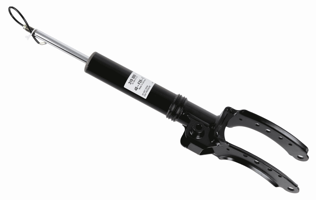 Shock Absorber CDC 319 009