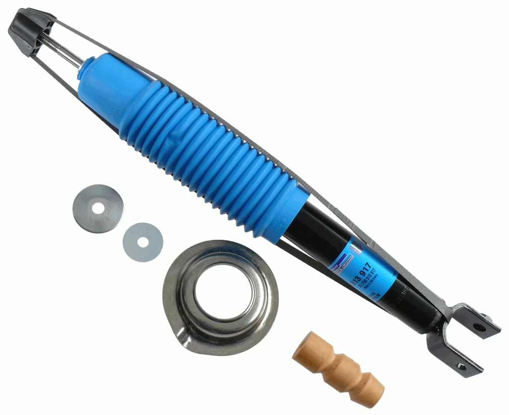 Shock Absorber 313 917