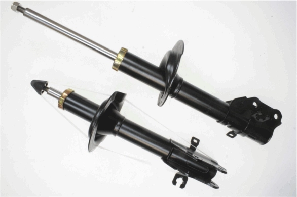 Shock Absorber 317 306
