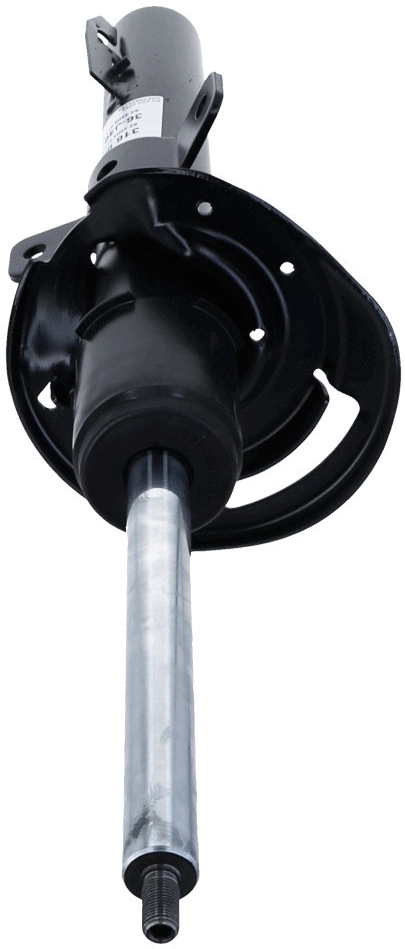 Shock Absorber 316 958