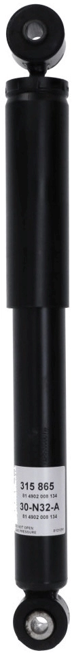 Shock Absorber 315 865
