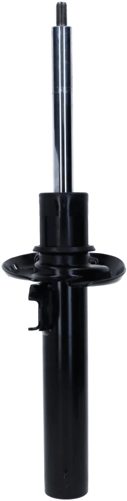 Shock Absorber 317 579