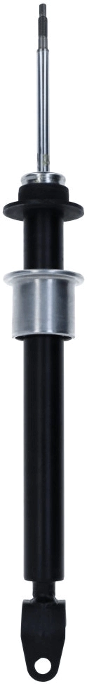 Shock Absorber 317 349