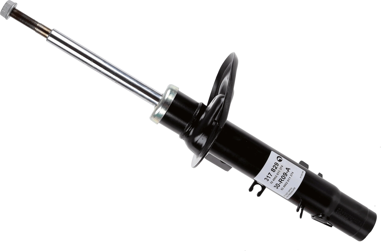 Shock Absorber 317 829