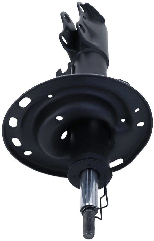 Shock Absorber 317 117