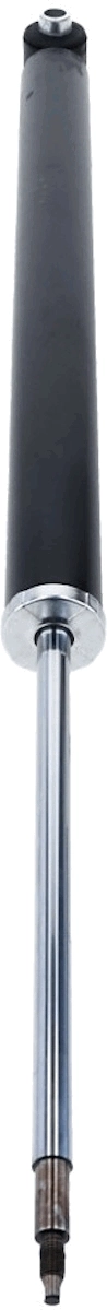 Shock Absorber 313 575