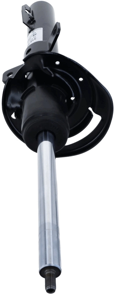Shock Absorber 316 963