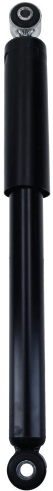 Shock Absorber 200 421