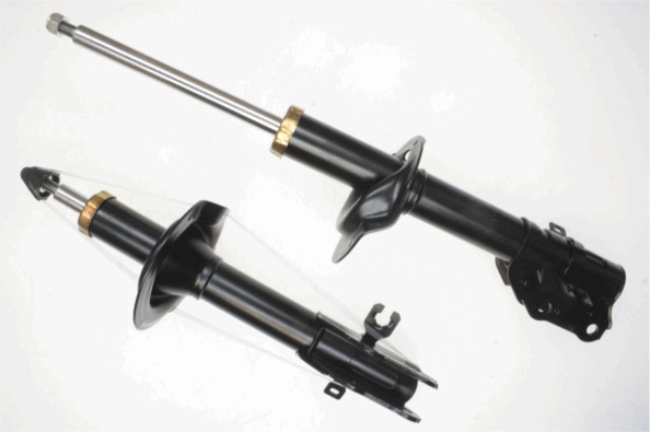 Shock Absorber 317 307