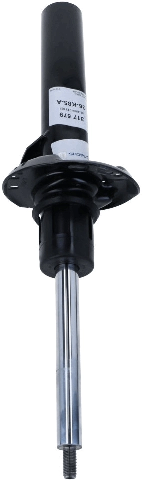 Shock Absorber 317 579