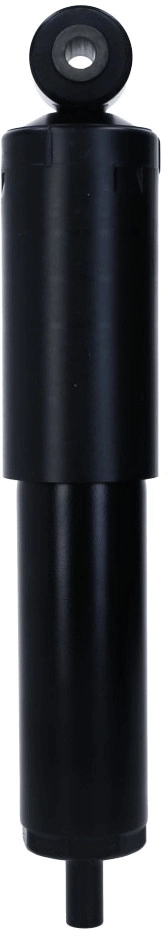 Shock Absorber 170 787