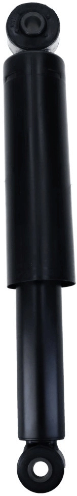 Shock Absorber 317 347