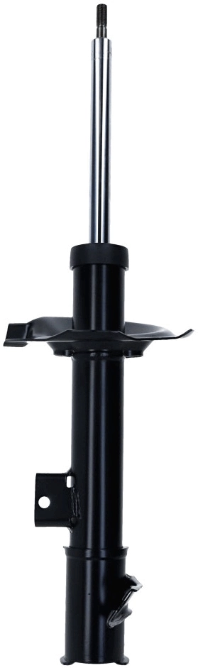 Shock Absorber 318 219