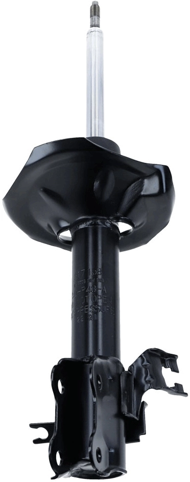 Shock Absorber 317 158