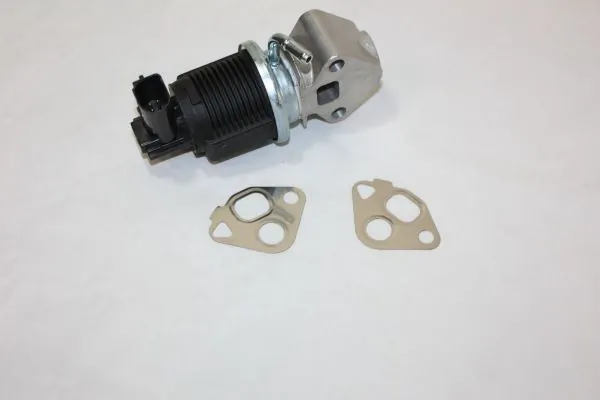 EGR Valve 140010810