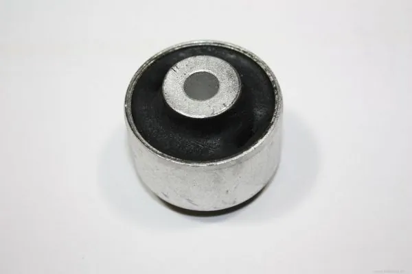 Mounting, control/trailing arm 110039910