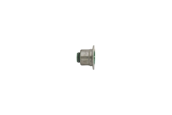 Seal Ring, valve stem 190010210