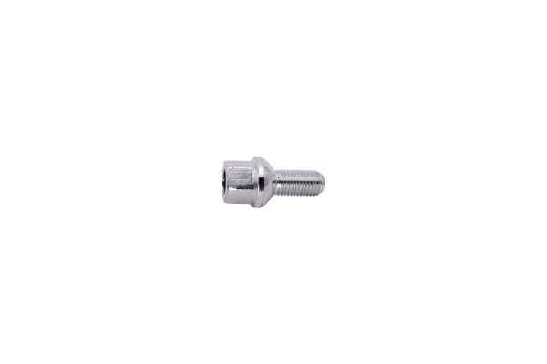 Wheel Bolt 110100210