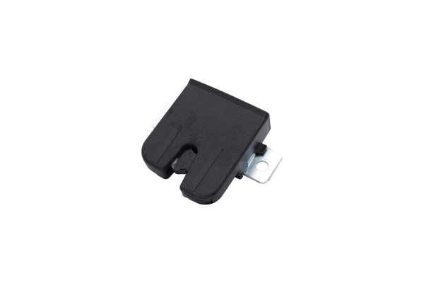 AUTOMEGA 219345410 Tailgate Lock