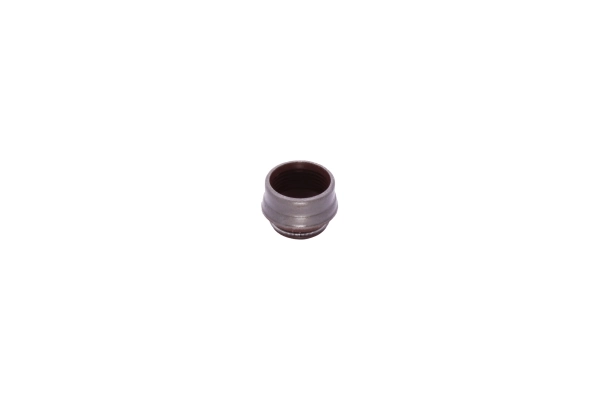 Seal Ring, valve stem 190015110