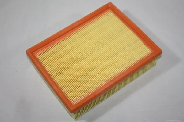 AUTOMEGA 180022410 Air Filter
