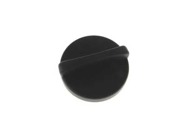 Sealing Cap, oil filler neck 210180910