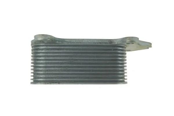 Oil Cooler, engine oil 130093010