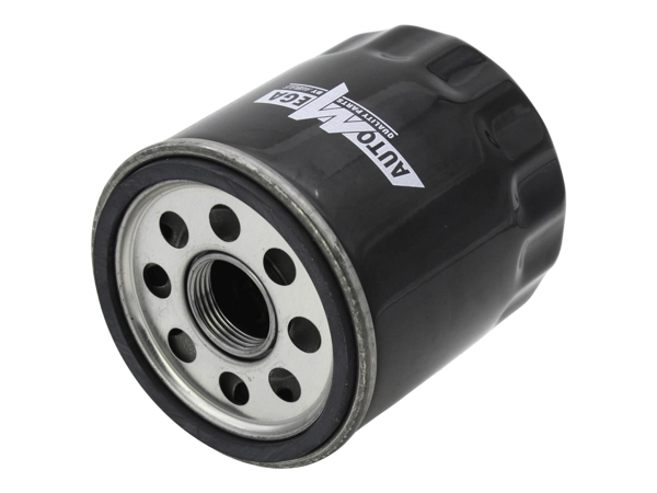 Oil Filter 210006610