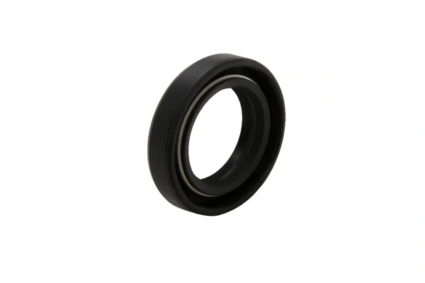 Shaft Seal, manual transmission main shaft 190014110