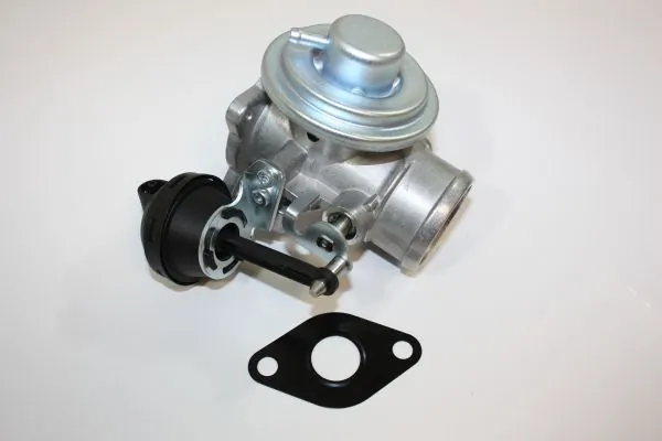 EGR Valve 140010310