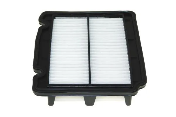 AUTOMEGA 180068210 Air Filter