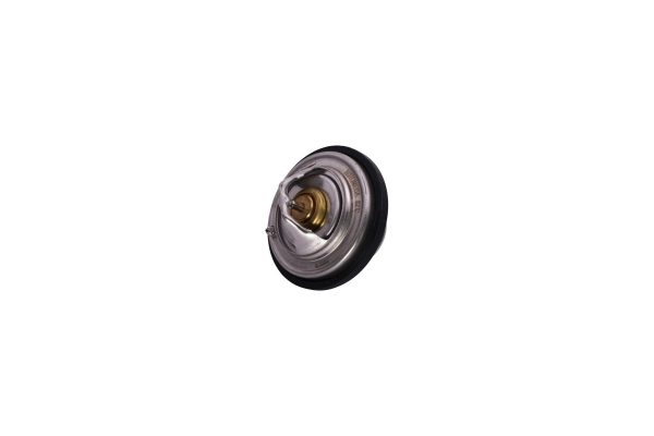 AUTOMEGA 160014510 Thermostat, coolant