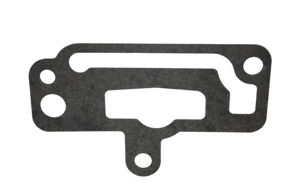 Gasket, coolant flange 190054510