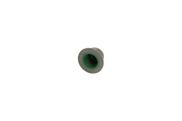 Seal Ring, valve stem 190010210