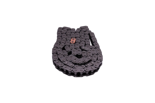 AUTOMEGA 130105810 Timing Chain
