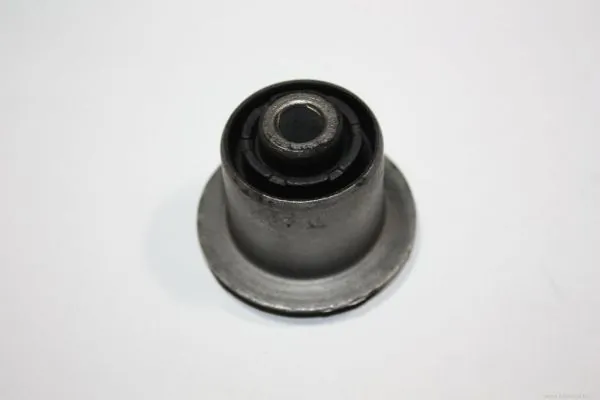 Mounting, control/trailing arm 110038510