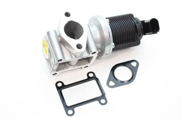 EGR Valve 140024310