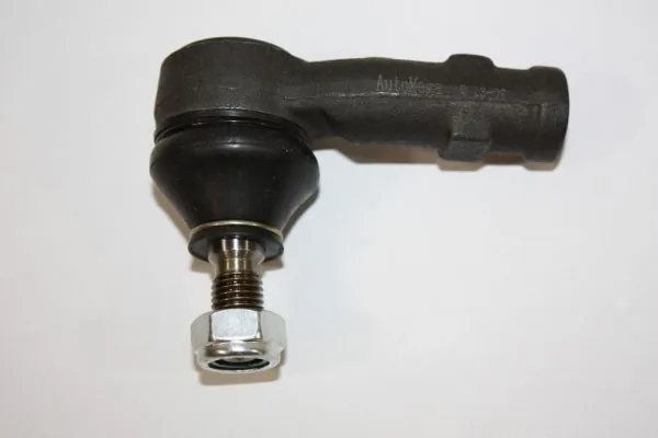 Tie Rod End 110034610