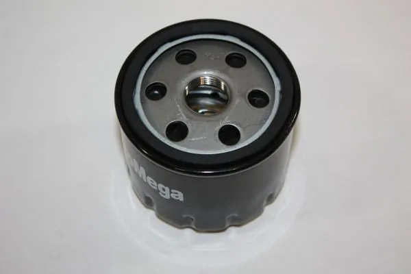 Oil Filter 180043810
