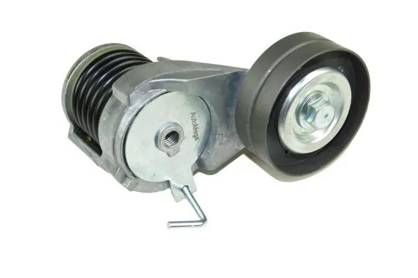 Tensioner Lever, V-ribbed belt 210155810