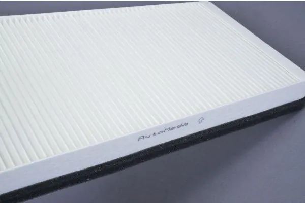 Filter, cabin air 180048110