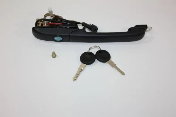 Exterior Door Handle 100021710