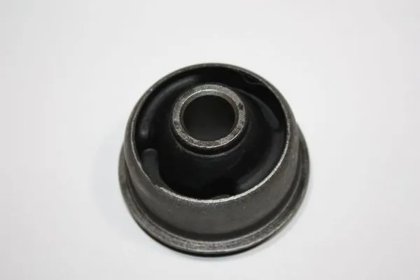 Mounting, control/trailing arm 110037610